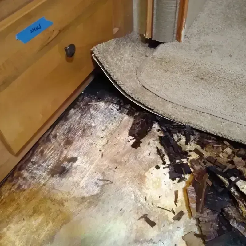 Wood Floor Water Damage in Frio County, TX